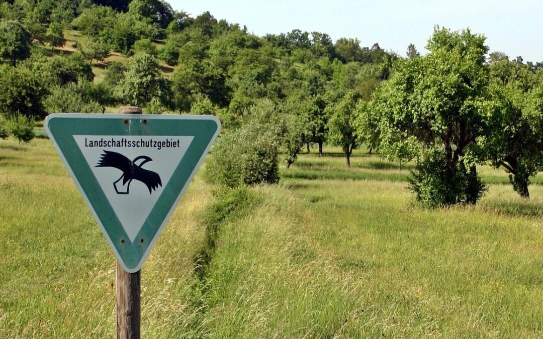 Entscheidende Bewertungen zum Tonabbau im Holzhauser Tal stehen weiterhin aus